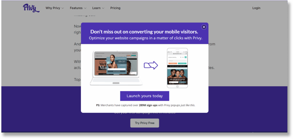 A screenshot of Privy exit popup